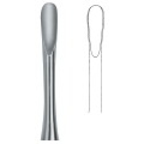 Apical 4