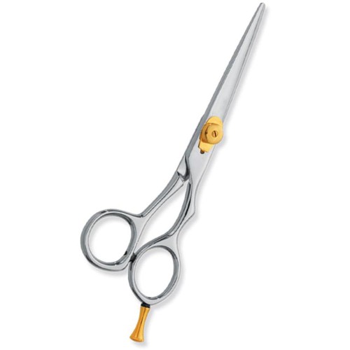 Professional hair Cutting Scissors
